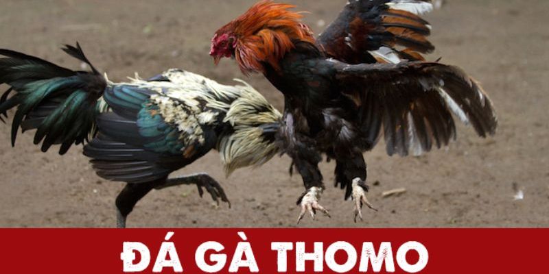 da-ga-thomo_800x400_1